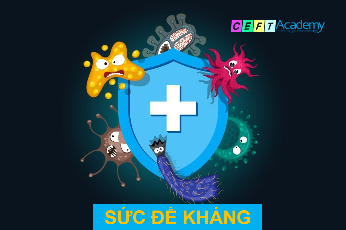 SỨC ĐỀ KHÁNG