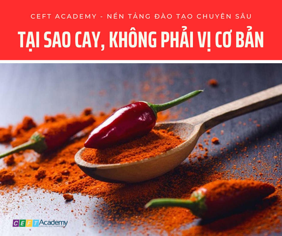 Tại Sao CAY không phải là Vị Cơ Bản?