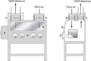 Cấu tạo tủ an toàn sinh học cấp 3