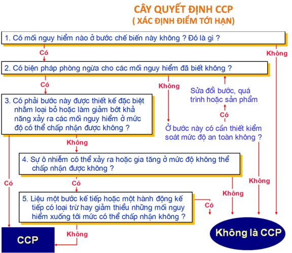 cây quyết định ccp