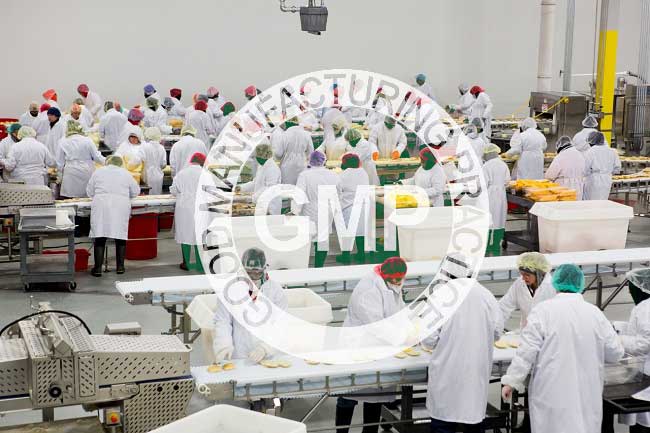 gmp trong thực phẩm