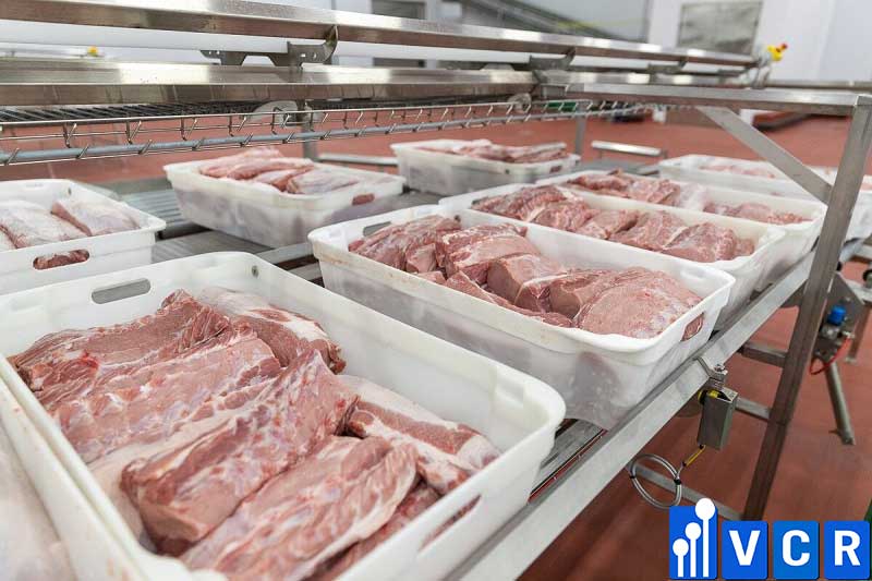 thiết kế nhà máy chế biến thịt