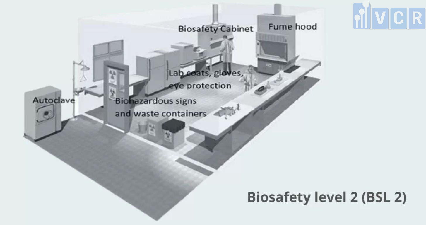 thiết kế phòng thí nghiệm an toàn sinh học cấp 2