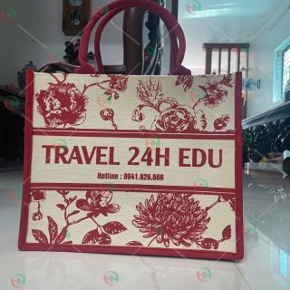 tac-hai-cua-viec-dung-tui-nilon-su-dung-tui-vai-de-giam-o-nhiem-moi-truong