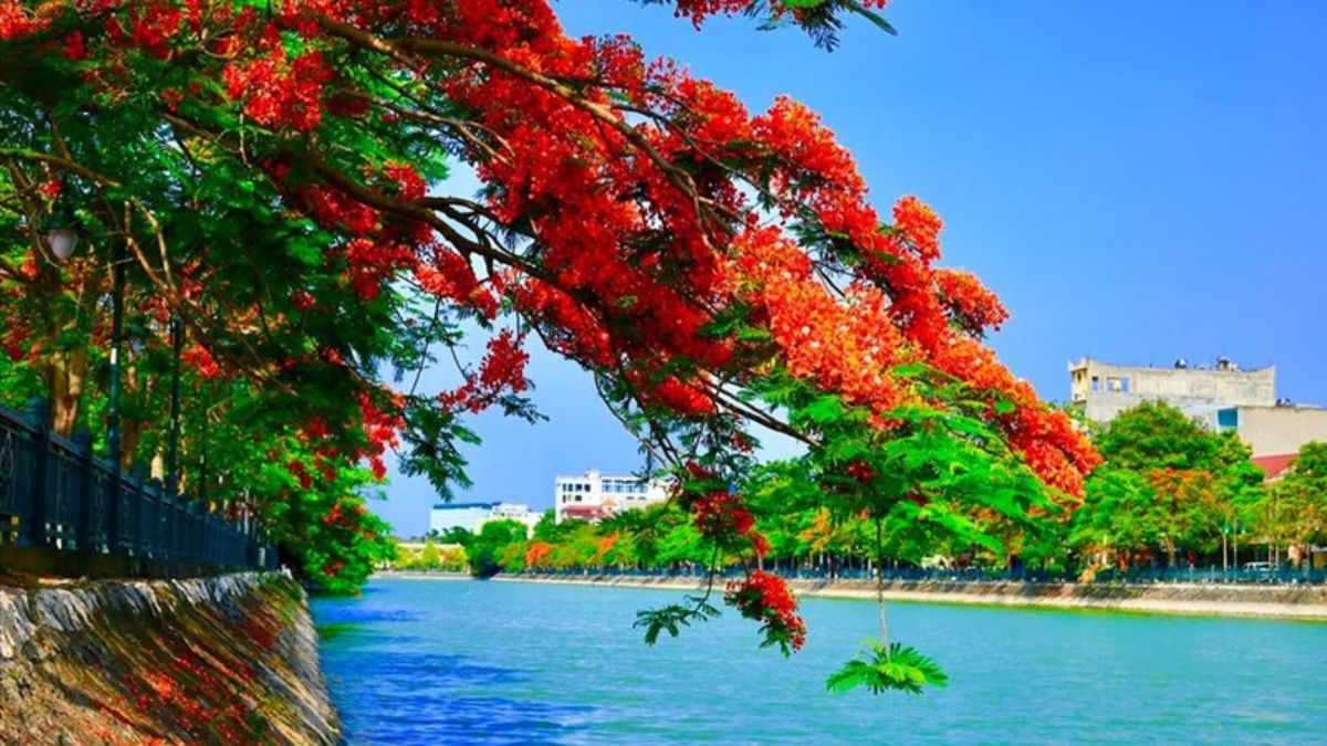 Thành phố Hải Phòng nơi hội tụ của nhiều doanh nghiệp sản xuất, logistics 