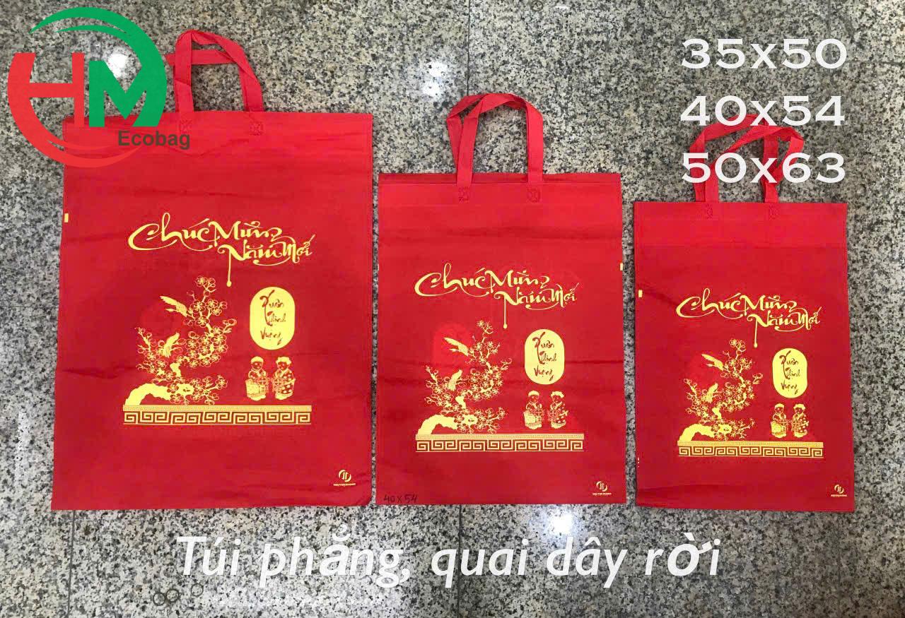 Túi vải không dệt được in với nhiều kích thước khác nhau