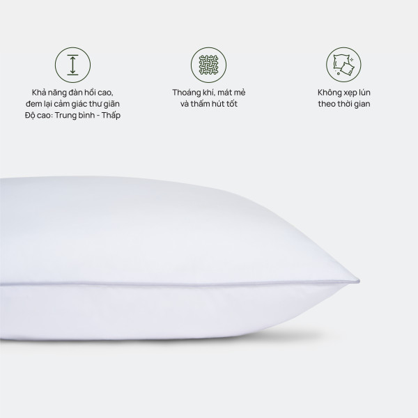 Ruột Gối Original Low (Ruột gối Everon truyền thống - loại thấp)