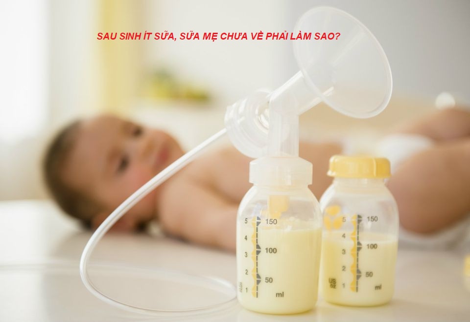 LÀM SAO KHI MẸ ÍT SỮA, CHƯA CÓ SỮA SAU SINH?