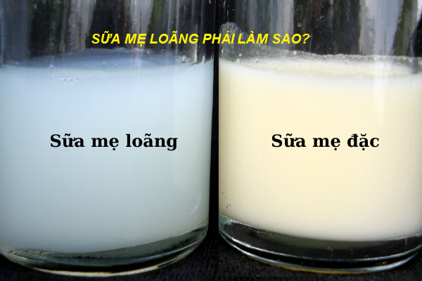 SỮA MẸ NHIỀU NHƯNG LOÃNG PHẢI LÀM SAO?