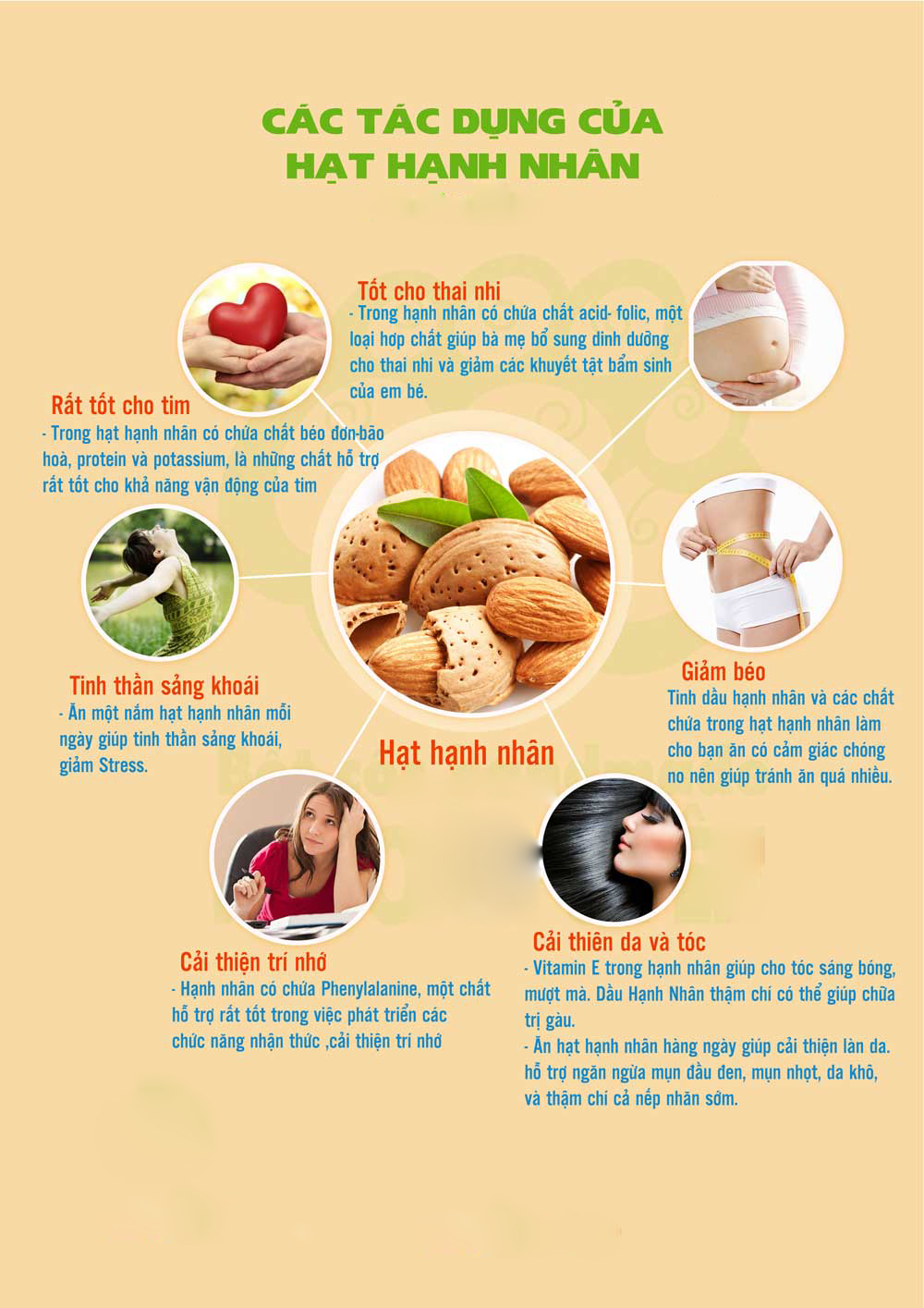 1. Giá trị dinh dưỡng của hạnh nhân