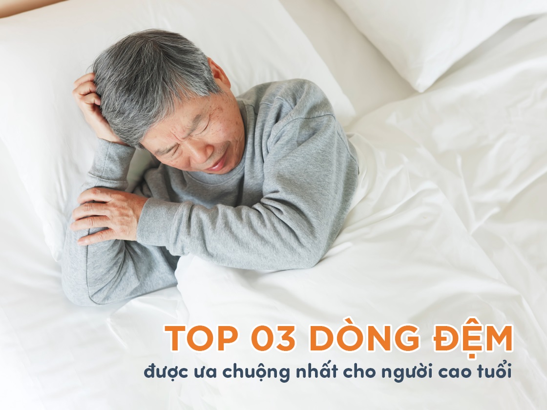TOP 3 dòng nệm cho người cao tuổi được ưa chuộng nhất hiện nay