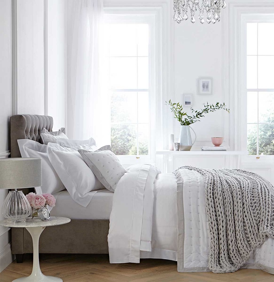 Đặt cây xanh trong phòng để thanh lọc không khí