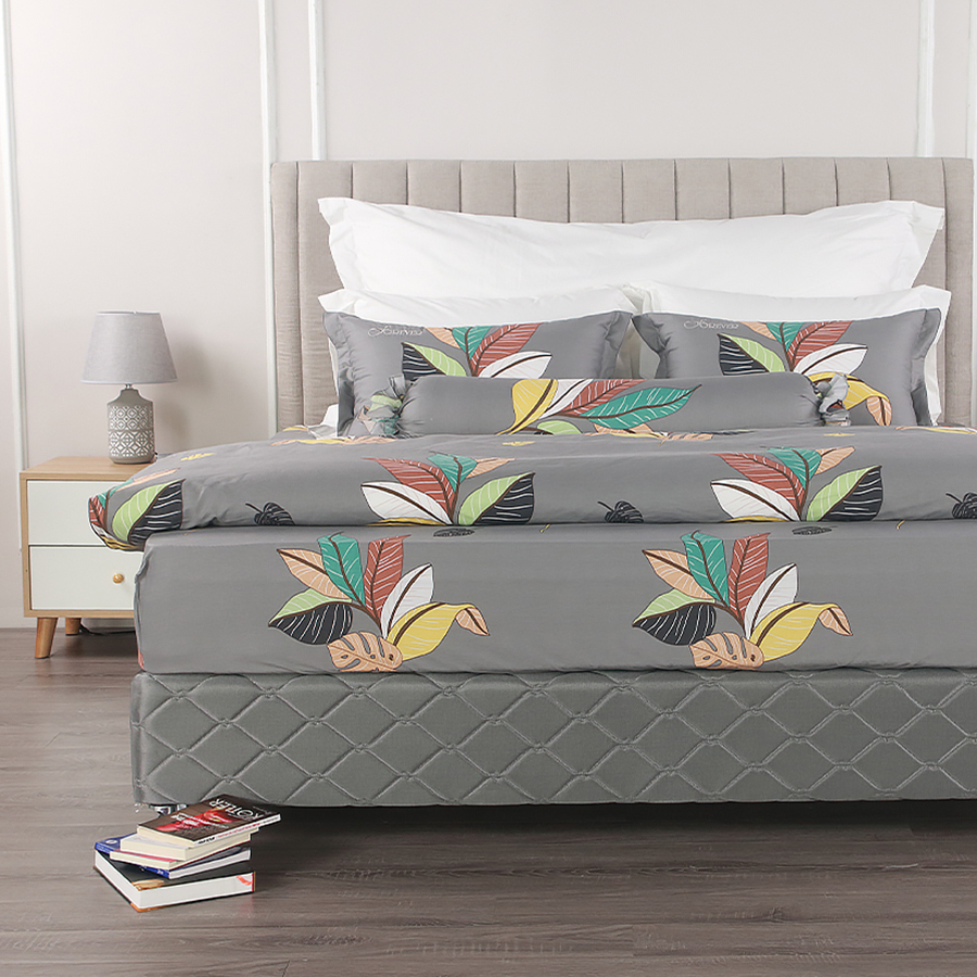 Bộ ga chun 23f Common C89