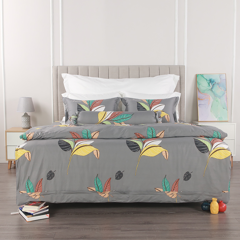 Bộ ga chun Common C89