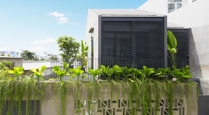 Nhà Sài Gòn kín cổng cao tường nhưng ngập nắng, cây xanh