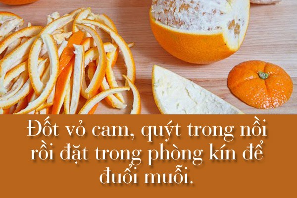 Mẹo hay đuổi muỗi, kiến đơn giản dễ làm.