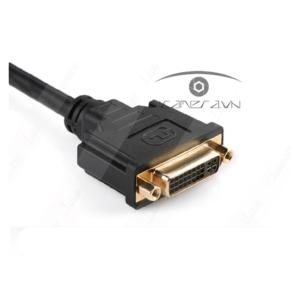Cáp Displayport to DVI 24+5 âm chính hãng Ugreen 20405