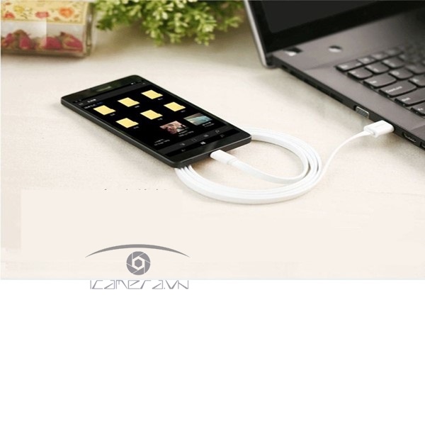Dây USB Type C to USB 3.0 dài 0.25M dẹt chính hãng UGREEN 10690