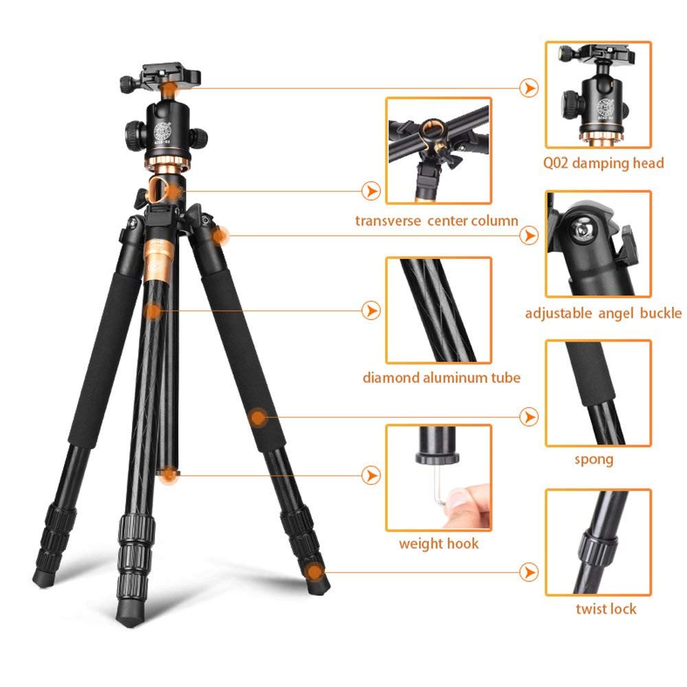 Chân máy ảnh Beike System Go Q-999H