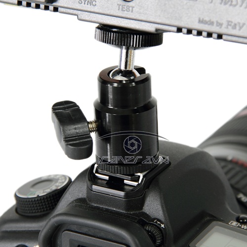 Ballhead mini 1/4 inch gắn hotshoe máy ảnh