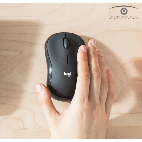 Bộ bàn phím kèm chuột Logitech MK295