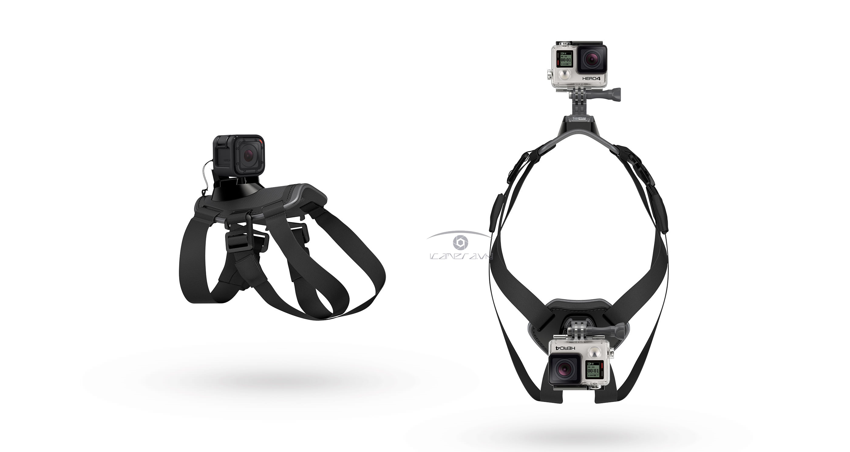 Dây đeo camera Gopro gắn lưng, bụng cho thú cưng