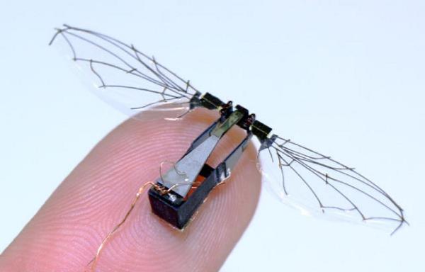 robot ong mật robobee