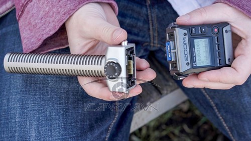 Bộ thu âm Zoom F1-SP kèm mic định hướng phỏng vấn
