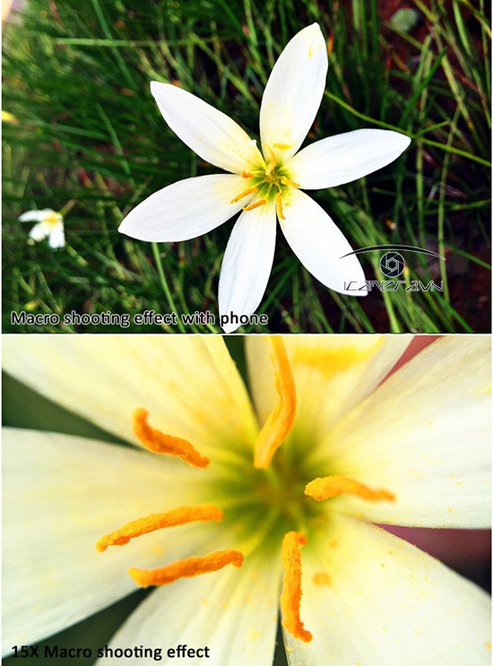 Ống kính chụp ảnh 2 trong 1 wide, macro lens cho điện thoại smartphone Funipica F-515