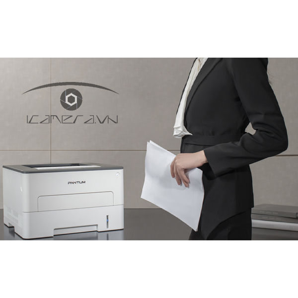 Máy in laser PANTUM P3010D