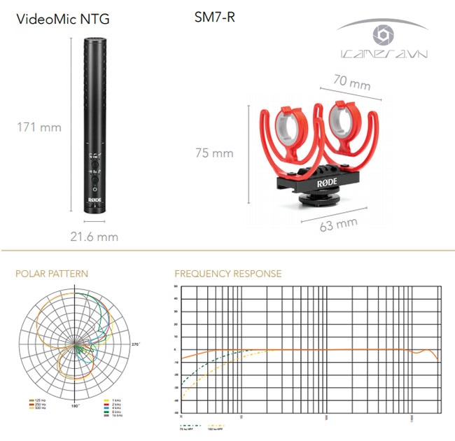 Mic thu âm RODE VideoMic NTG