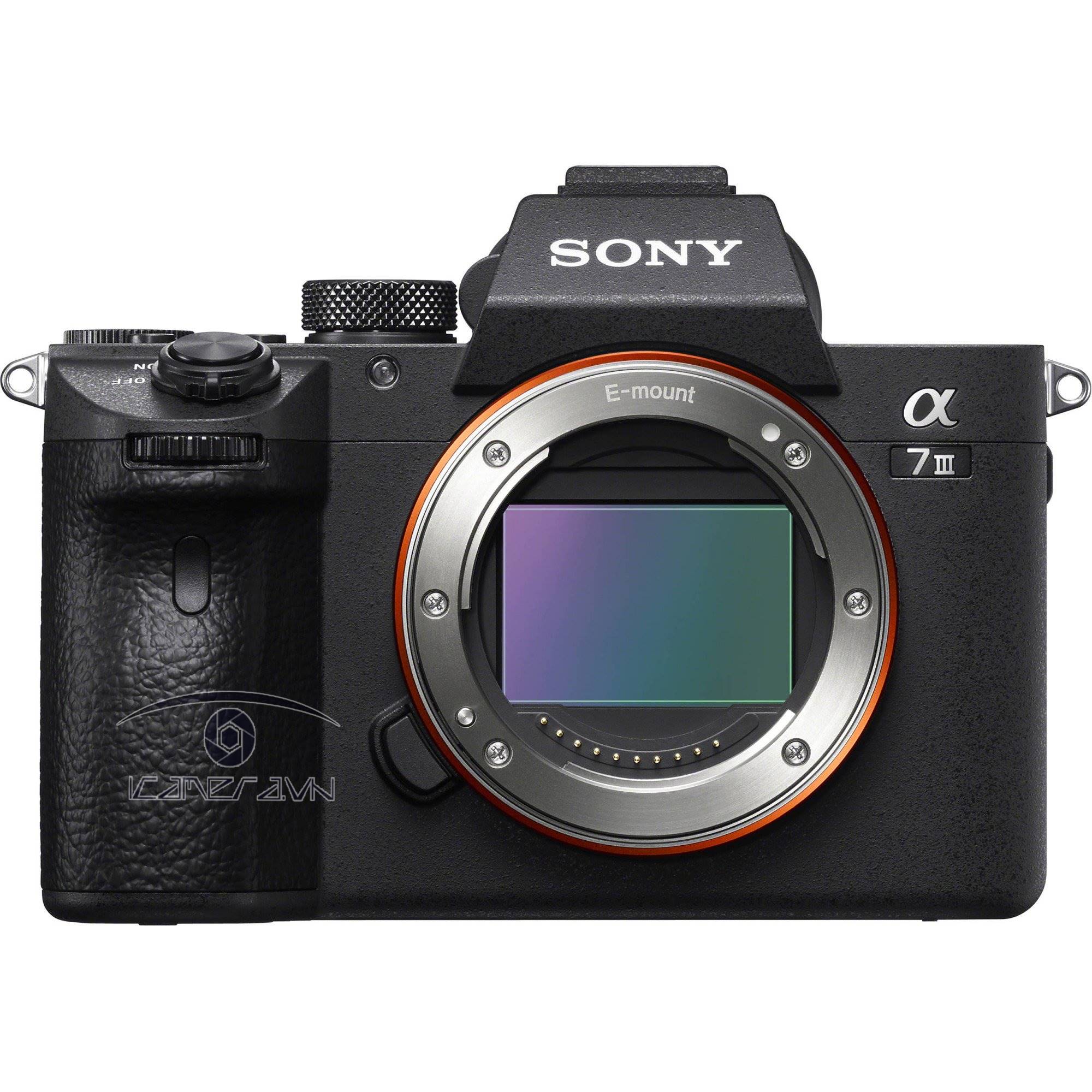 Sony A7s Iii Blackmagic Pocket Vs Sony A7iii Sony A7iii Vs