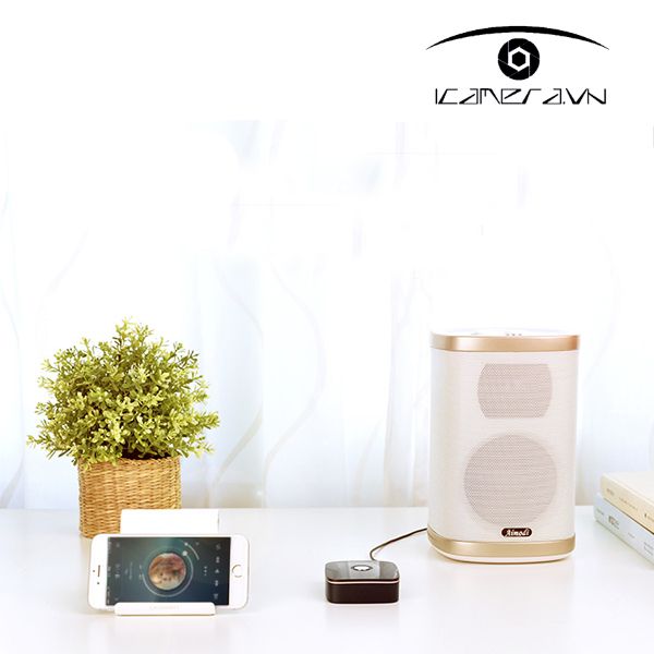 Bộ thu Bluetooth ra ampli Ugreen 30445