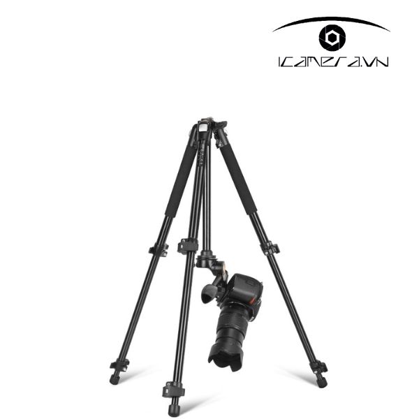 Chân máy ảnh Tripod Beike QZSD Q303