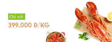 Banner 1