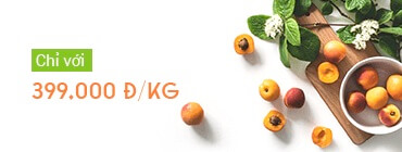 Banner 2