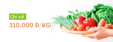 Banner 3