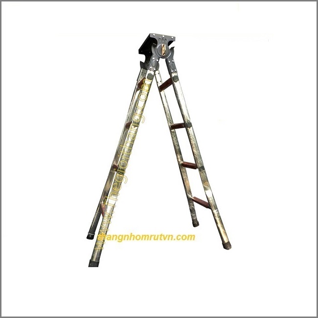 Thang chữ A 2,5m inox AN25