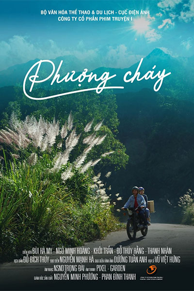 phim-phuong-chay