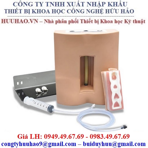 Mô hình thực hành chọc dò tủy sống Gaumard S411.PK