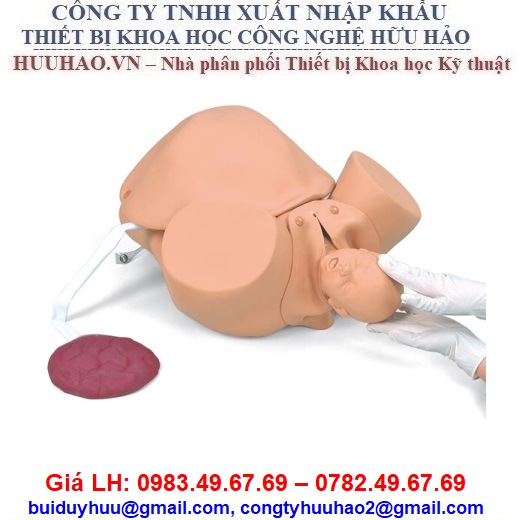 MÔ HÌNH THỰC HÀNH GIẢNG DẠY ĐỠ ĐẺ R10180