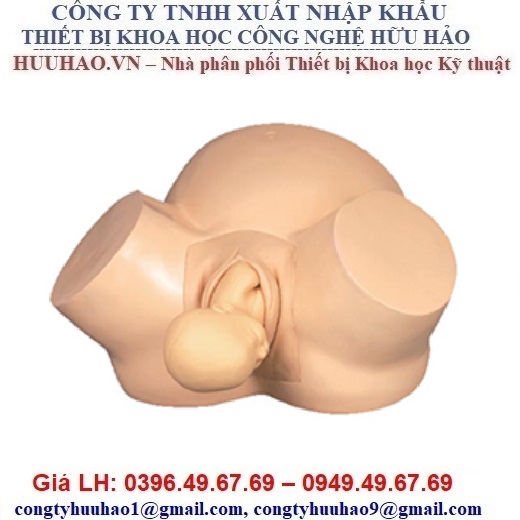 Kỹ thuật đỡ đẻ cho bò  Chợ Nông Sản Khánh Hoà