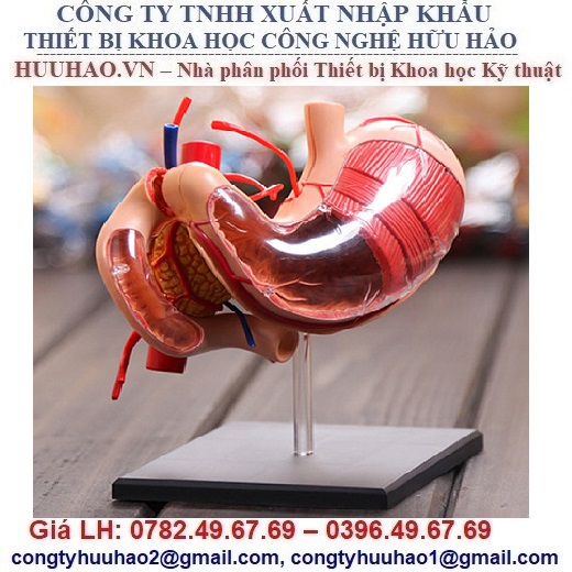 Ứng dụng mô hình 4D trong các DA cải tạo giao thông đô thị của VN  Tạp chí  Giao thông vận tải