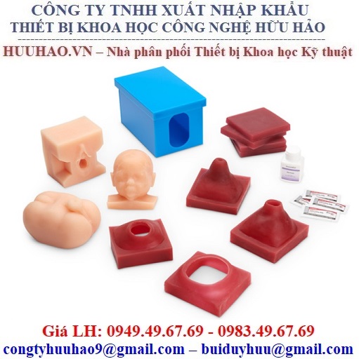 Mô hình giải phẫu thai nhi Nasco SB23508U