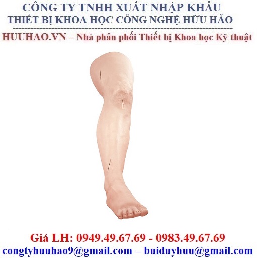 Mô hình rạch khâu vết thương chân Nasco LF01034U