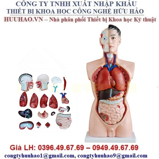 Cao Đẳng Kỹ Thuật Y Dược Hà Nội