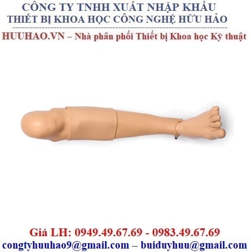 MÔ HÌNH ĐẶT ĐƯỜNG TRUYỀN TRONG XƯƠNG LAERDAL