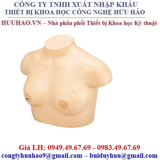 Mô hình khám ngực phụ nữ LM-018 Koken