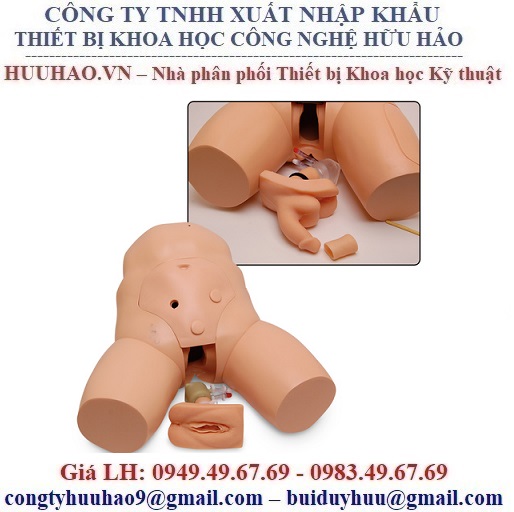 MÔ HÌNH THỰC HÀNH THỤT THÁO LG02099U NASCO