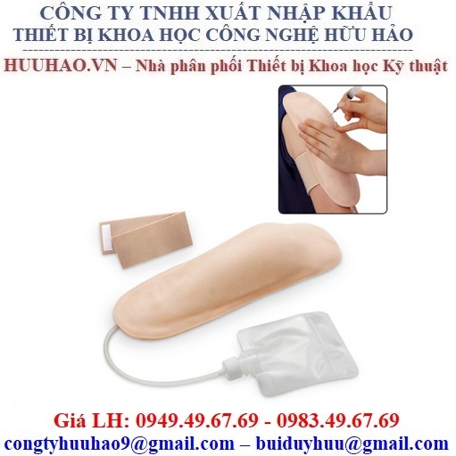 Mô hình tiêm bắp tay điện tử Nasco SB40261